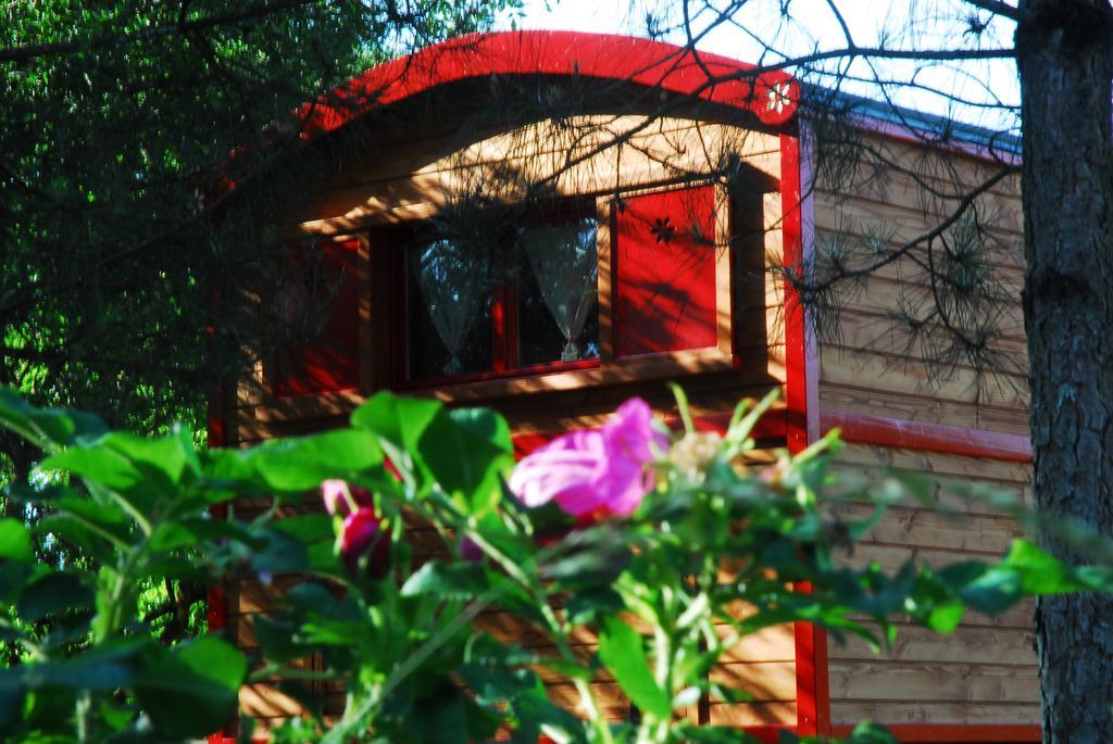 Gypsy Nature B&B Jumelles (Maine-et-Loire) Quarto foto